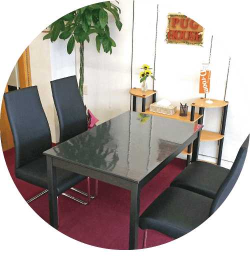 パグハウス内観01