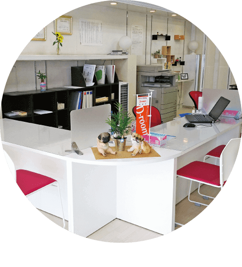 パグハウス内観03