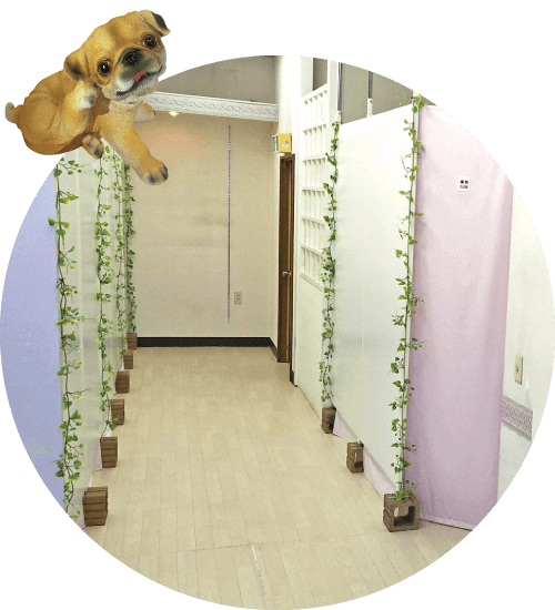 パグハウス内観04